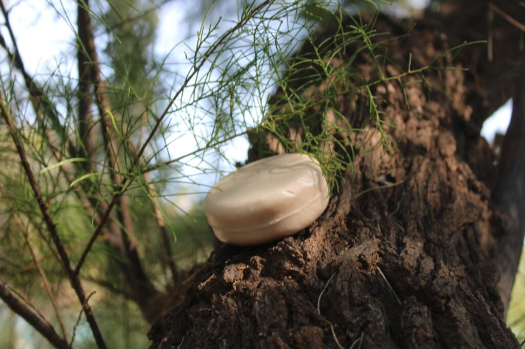 champu-solido-jengibre-natural-lismare